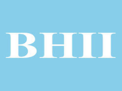 B Hidalgo Industries Inc
