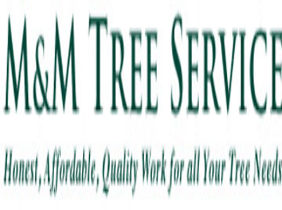 M & M Tree Service