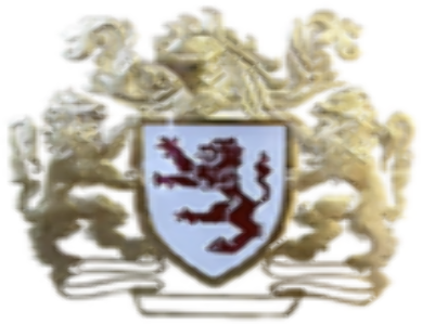Michael B. Lyons Cosmetic Laser & Surgery Center