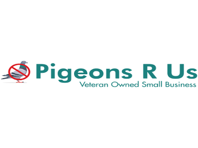 Pigeons R Us